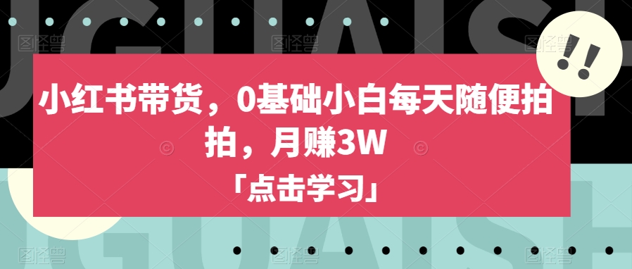 小红书带货，0基础小白每天随便拍拍，月赚3W【揭秘】-桐创网