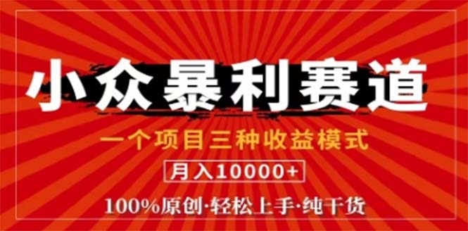 视频号最新爆火赛道，三种可收益模式，0粉新号条条原创条条热门 日入1000+-桐创网