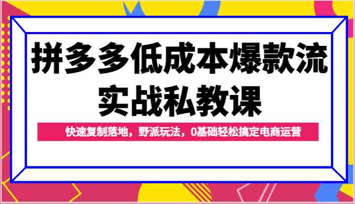 拼多多低成本爆款流实战私教课，快速复制落地，野派玩法，0基础轻松搞定电商运营-桐创网