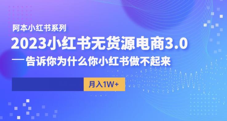 阿本小红书无货源电商3.0，告诉你为什么你小红书做不起来-桐创网