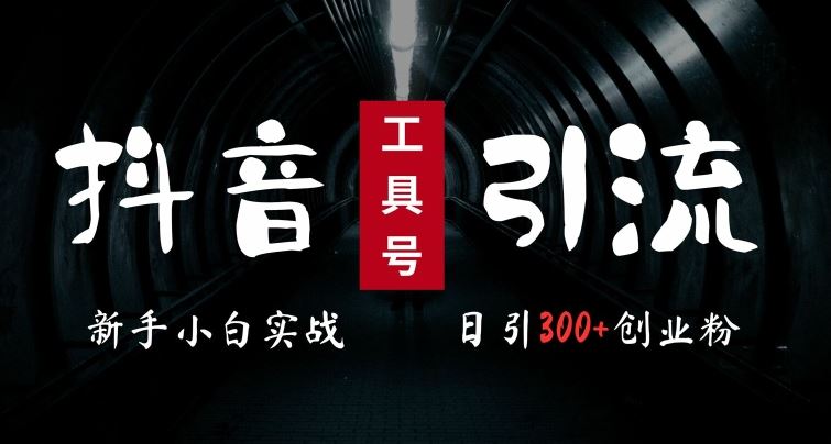 2024最新抖音工具号引流玩法，高效日引300+创业粉，当天变现5k，小白也可成为实战高手-桐创网