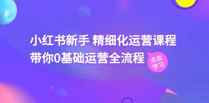 小红书新手精细化运营课程，带你0基础运营全流程（42节视频课）-桐创网