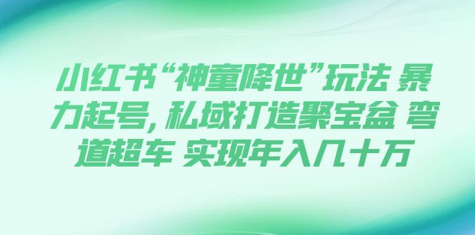 （7673期）小红书“神童降世”玩法 暴力起号,私域打造聚宝盆 弯道超车 实现年入几十万-桐创网