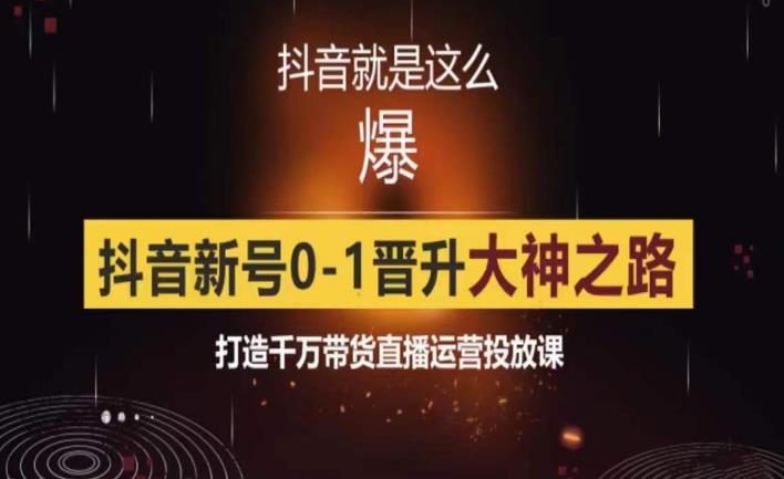 0粉自然流实战起号课，抖音新号0~1晋升大神之路，打造千万带货直播运营投放课-桐创网