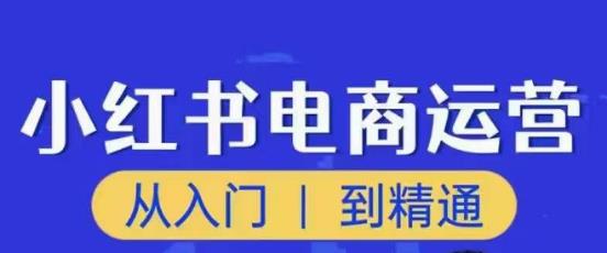 顽石小红书电商高阶运营课程，从入门到精通，玩法流程持续更新-桐创网