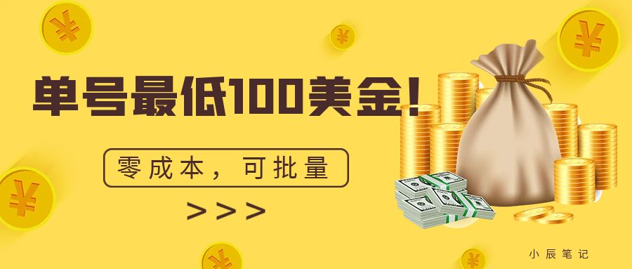 单号最低100美金，零成本，小白无脑操作。可复制，可扩大。-桐创网