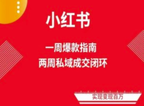 爆款小红书免费流量体系课程(两周变现)，小红书电商教程-桐创网