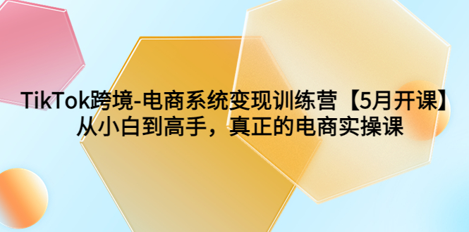 （6058期）TikTok跨境-电商系统变现训练营【5月新课】从小白到高手，真正的电商实操课-桐创网