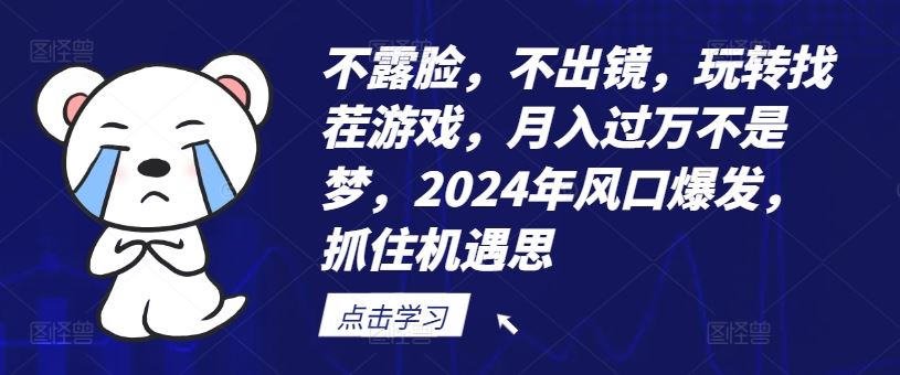 不露脸，不出镜，玩转找茬游戏，月入过万不是梦，2024年风口爆发，抓住机遇【揭秘】-桐创网