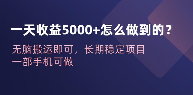 一天收益5000+怎么做到的？无脑搬运即可，长期稳定项目，一部手机可做【揭秘】-桐创网