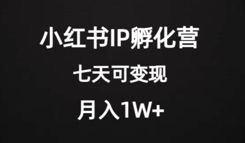 价值2000+的小红书IP孵化营项目，超级大蓝海，七天即可开始变现，稳定月入1W+-桐创网