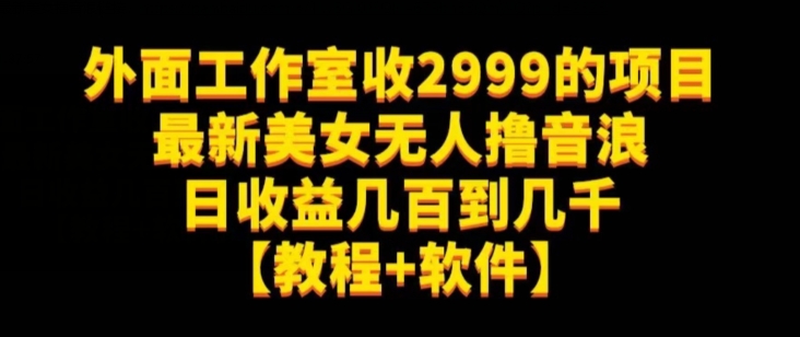 外面工作室收2999的项目最新美女无人撸音浪日收益几百到几千【教程+软件】（仅揭秘）-桐创网