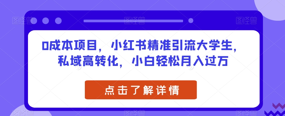 0成本项目，小红书精准引流大学生，私域高转化，小白轻松月入过万【揭秘】-桐创网