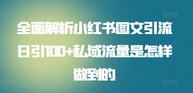 全面解析小红书图文引流日引100+私域流量是怎样做到的-桐创网