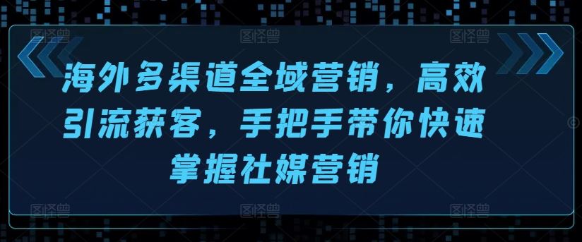 海外多渠道全域营销，高效引流获客，手把手带你快速掌握社媒营销-桐创网