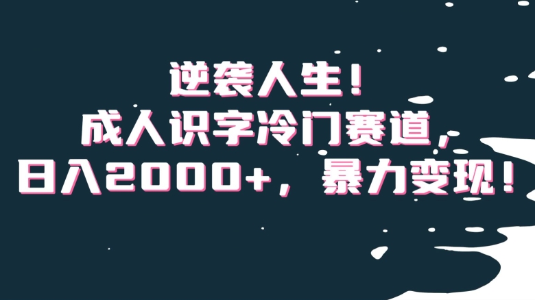 逆袭人生！成人识字冷门赛道，日入2000+，暴力变现！【揭秘】-桐创网