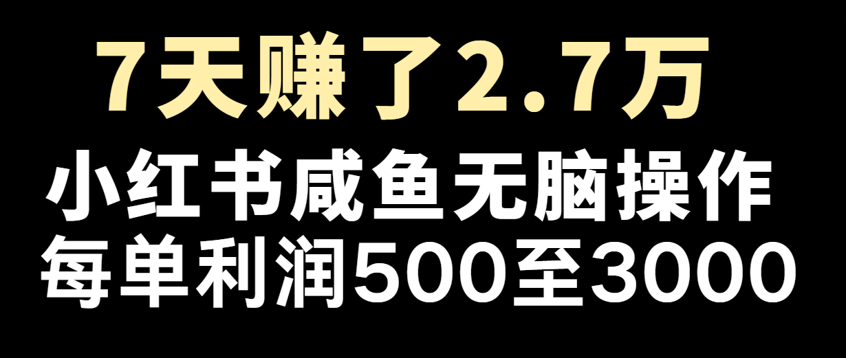 七天赚了2.7万！每单利润最少500+，轻松月入5万+小白有手就行-桐创网