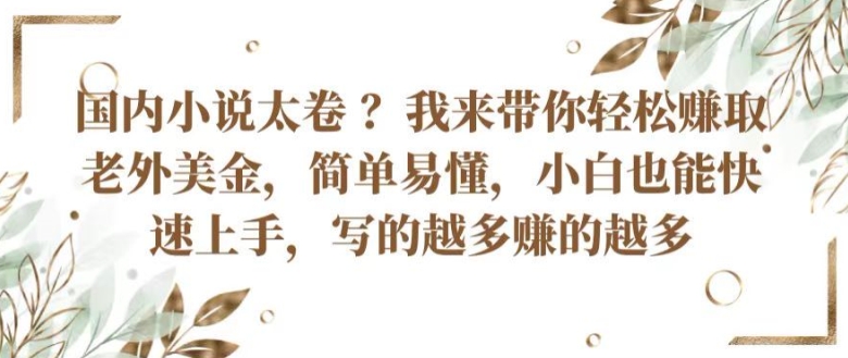 国内小说太卷 ?带你轻松赚取老外美金，简单易懂，小白也能快速上手，写的越多赚的越多-桐创网