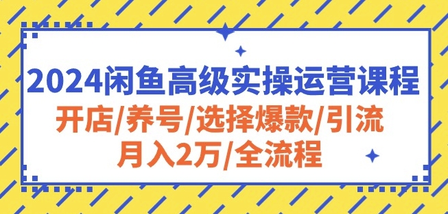 2024闲鱼高级实操运营课程：开店/养号/选择爆款/引流/月入2万/全流程-桐创网