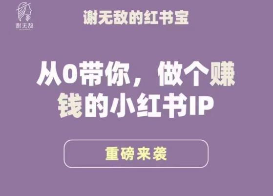 谢无敌·小红书运营大宝典，从0带你做个赚钱的小红书IP-桐创网