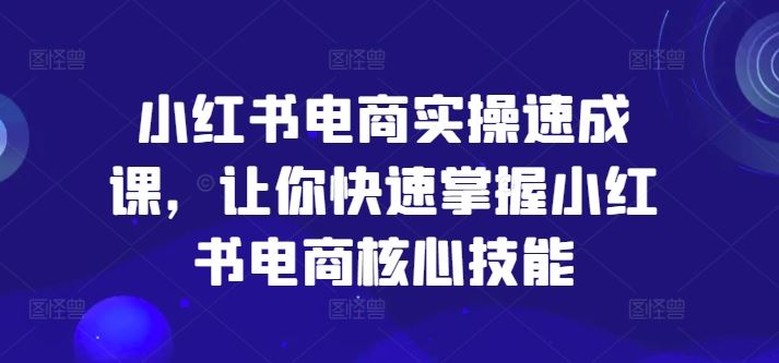 小红书电商实操速成课，让你快速掌握小红书电商核心技能-桐创网