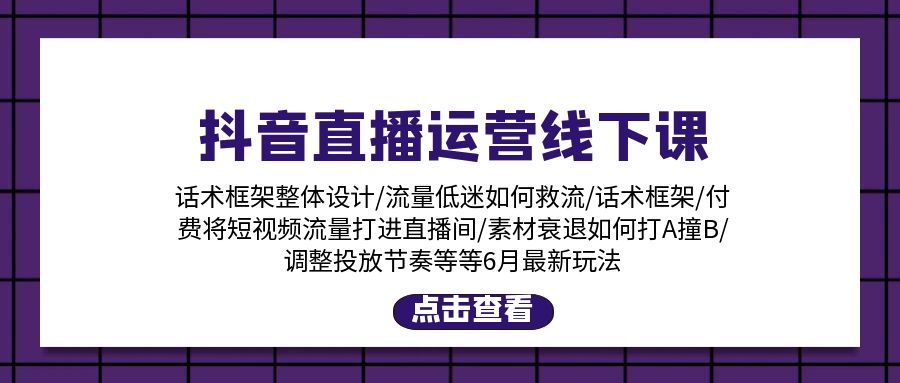 （11211期）抖音直播运营线下课：话术框架/付费流量直播间/素材A撞B/等6月新玩法-桐创网