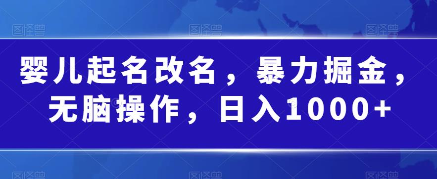 婴儿起名改名，暴力掘金，无脑操作，日入1000+【揭秘】-桐创网