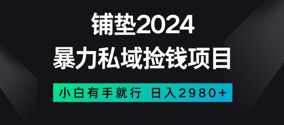 暴力私域捡钱项目，小白无脑操作，日入2980【揭秘】-桐创网