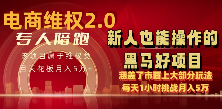 电商维权 4.0 如何做到月入 5 万+每天 1 小时新人也能快速上手【仅揭秘】-桐创网