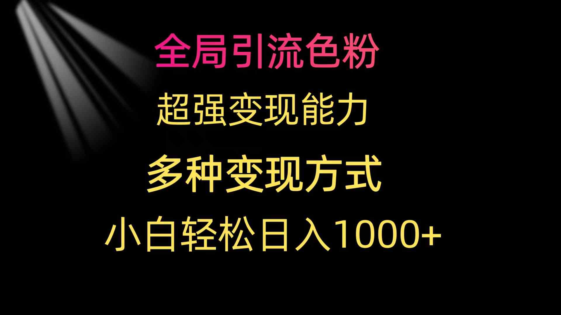 （9680期）全局引流色粉 超强变现能力 多种变现方式 小白轻松日入1000+-桐创网