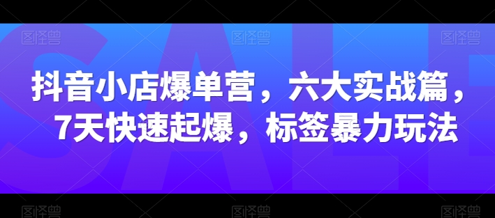 抖音小店爆单营，六大实战篇，7天快速起爆，标签暴力玩法-桐创网