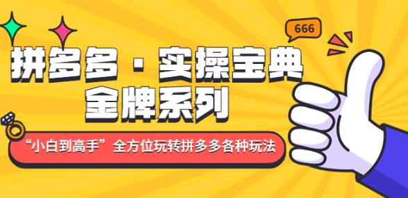 拼多多·实操宝典：金牌系列“小白到高手”带你全方位玩转拼多多各种玩法-桐创网