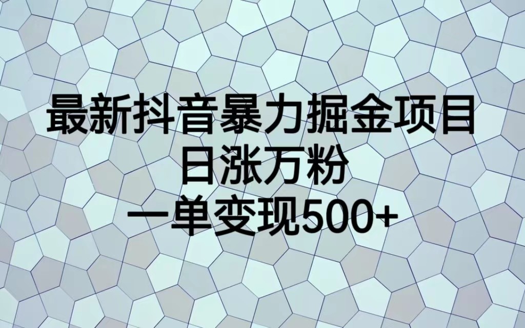 最新抖音暴力掘金项目，日涨万粉，一单变现500+-桐创网