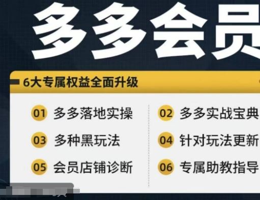 拼多多会员，拼多多实战宝典+实战落地实操，从新手到高阶内容全面覆盖-桐创网