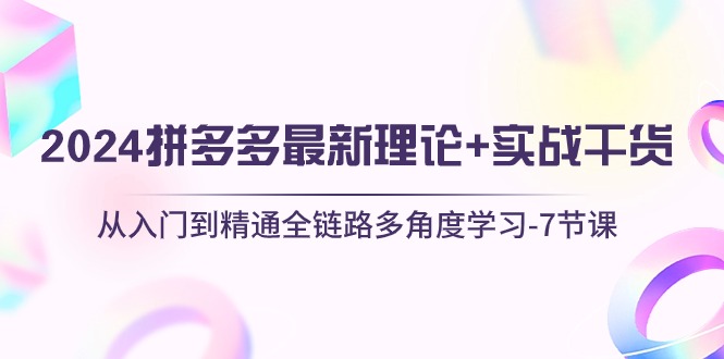 （10816期）2024拼多多 最新理论+实战干货，从入门到精通全链路多角度学习-7节课-桐创网