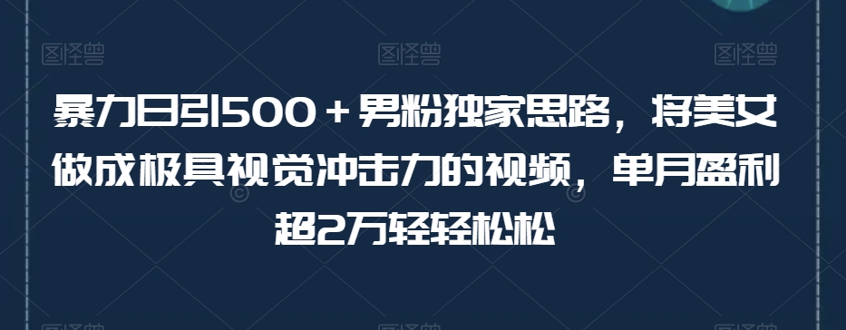 暴力日引500＋男粉独家思路，将美女做成极具视觉冲击力的视频，单月盈利超2万轻轻松松-桐创网