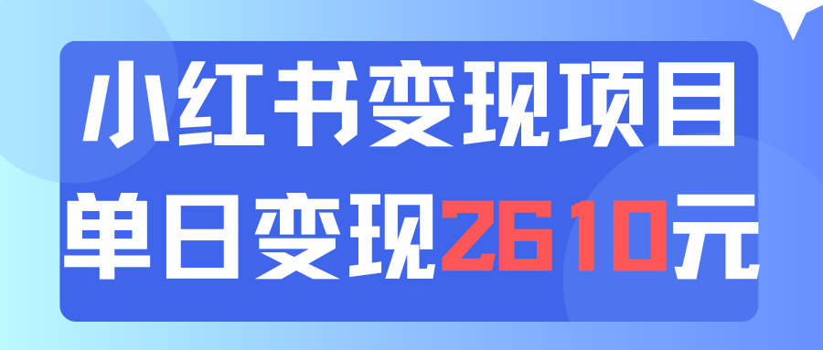 （11885期）利用小红书卖资料单日引流150人当日变现2610元小白可实操（教程+资料）-桐创网