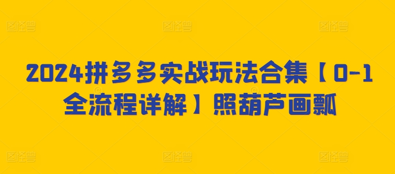 2024拼多多实战玩法合集【0-1全流程详解】照葫芦画瓢-桐创网