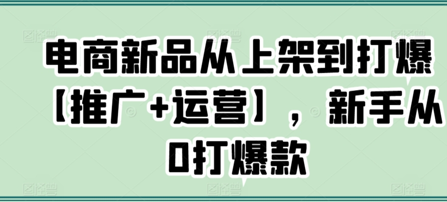 电商新品从上架到打爆【推广+运营】，新手从0打爆款-桐创网