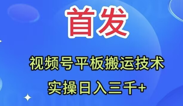 （7843期）全网首发：视频号平板搬运技术，实操日入三千＋-桐创网