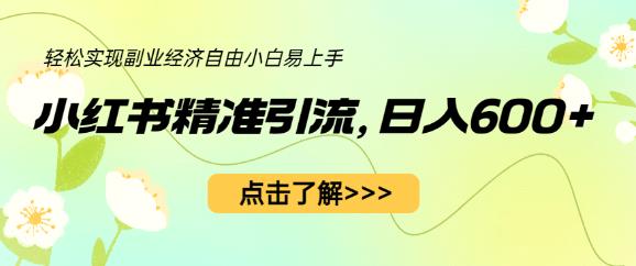 小红书精准引流，小白日入600+，轻松实现副业经济自由（教程+1153G资源）-桐创网