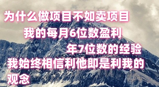 做项目不如卖项目，每月6位数盈利，年7位数经验-桐创网