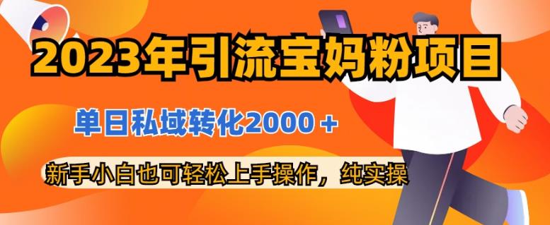 2023年引流宝妈粉项目，单日私域转化2000＋，新手小白也可轻松上手操作，纯实操-桐创网