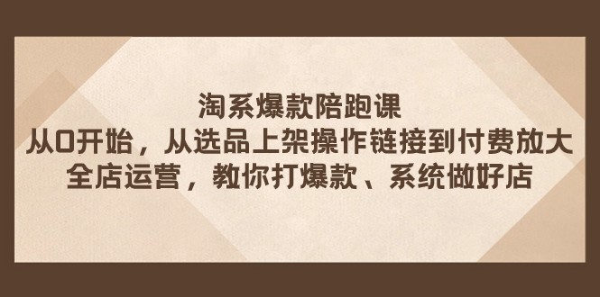 淘系爆款陪跑课 从选品上架操作链接到付费放大 全店运营 打爆款 系统做好店-桐创网