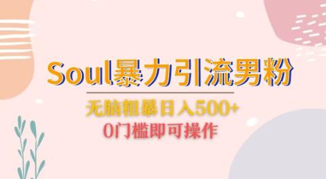 Soul暴力引流男粉玩法，无脑粗暴日入500＋，0门槛即可操作【揭秘】-桐创网