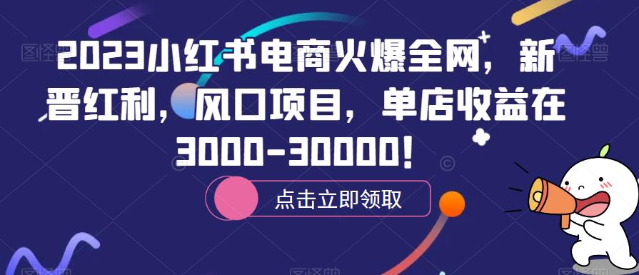 2023小红书电商火爆全网，新晋红利，风口项目，单店收益在3000-30000！-桐创网