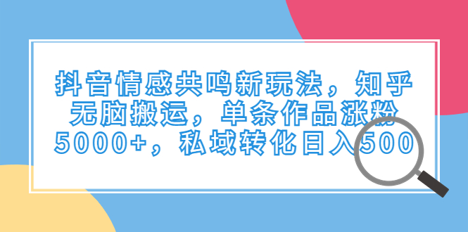 （6758期）抖音情感共鸣新玩法，知乎无脑搬运，单条作品涨粉5000+，私域转化日入500-桐创网