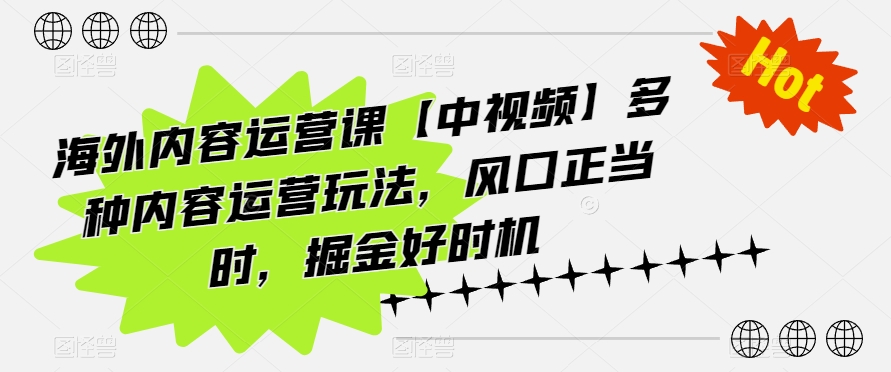 海外内容运营课【中视频】多种内容运营玩法，风口正当时，掘金好时机-桐创网