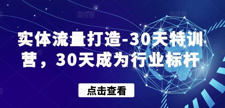 实体流量打造-30天特训营，30天成为行业标杆-桐创网