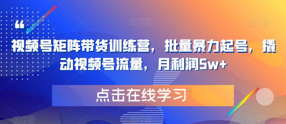 视频号矩阵带货训练营，批量暴力起号，撬动视频号流量，月利润5w+-桐创网